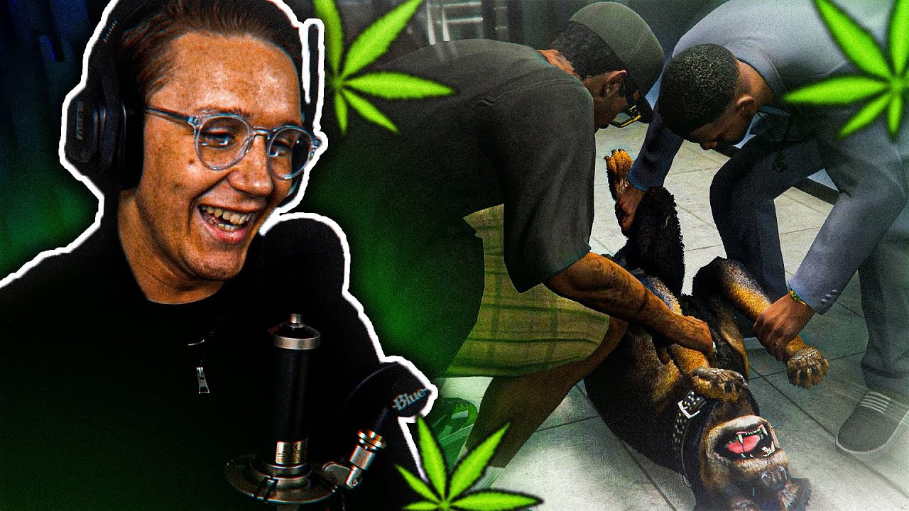 DE ga HUNDEN ekte WEED?! 😂🔥- Norsk GTA 5