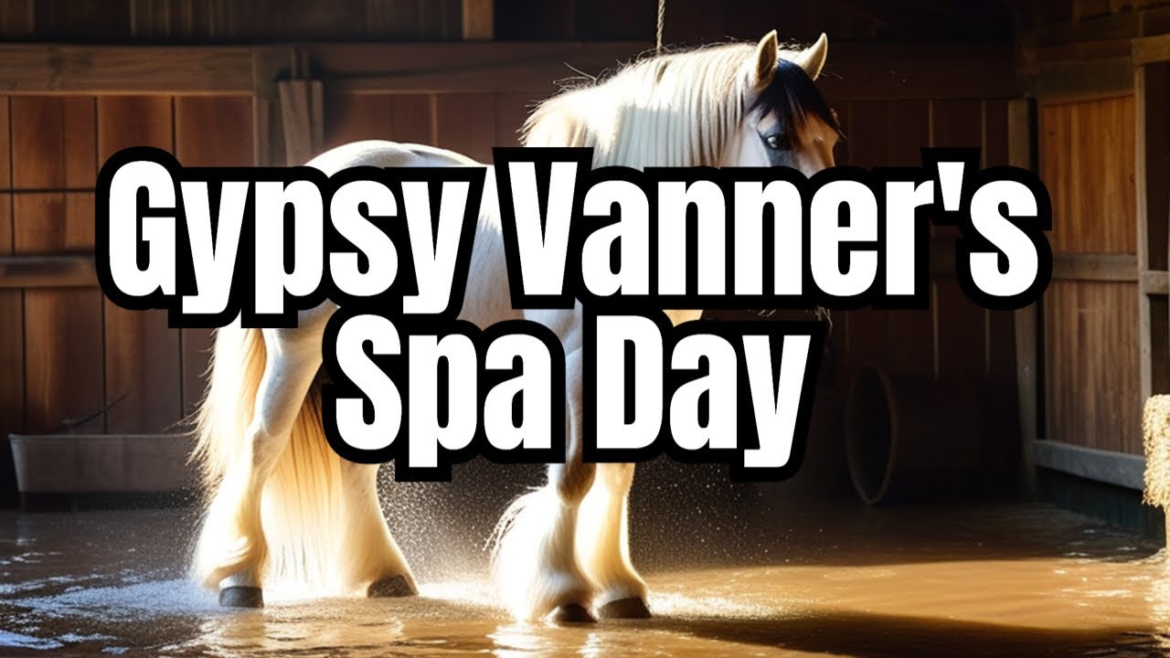 Stunning Gypsy Vanner Horse Bath Transformation