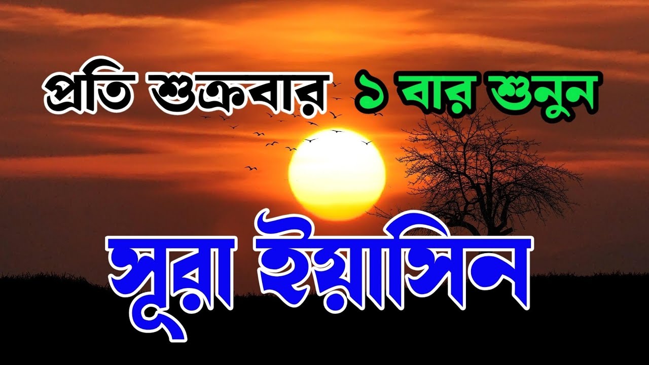 শুক্রবারের দিন এই সুরাটি ১ বার শুনুন | মনের সকল আসা পুরন হবে | অভাব দূর হবে, অফুরন্ত রিজিক আসবে। 