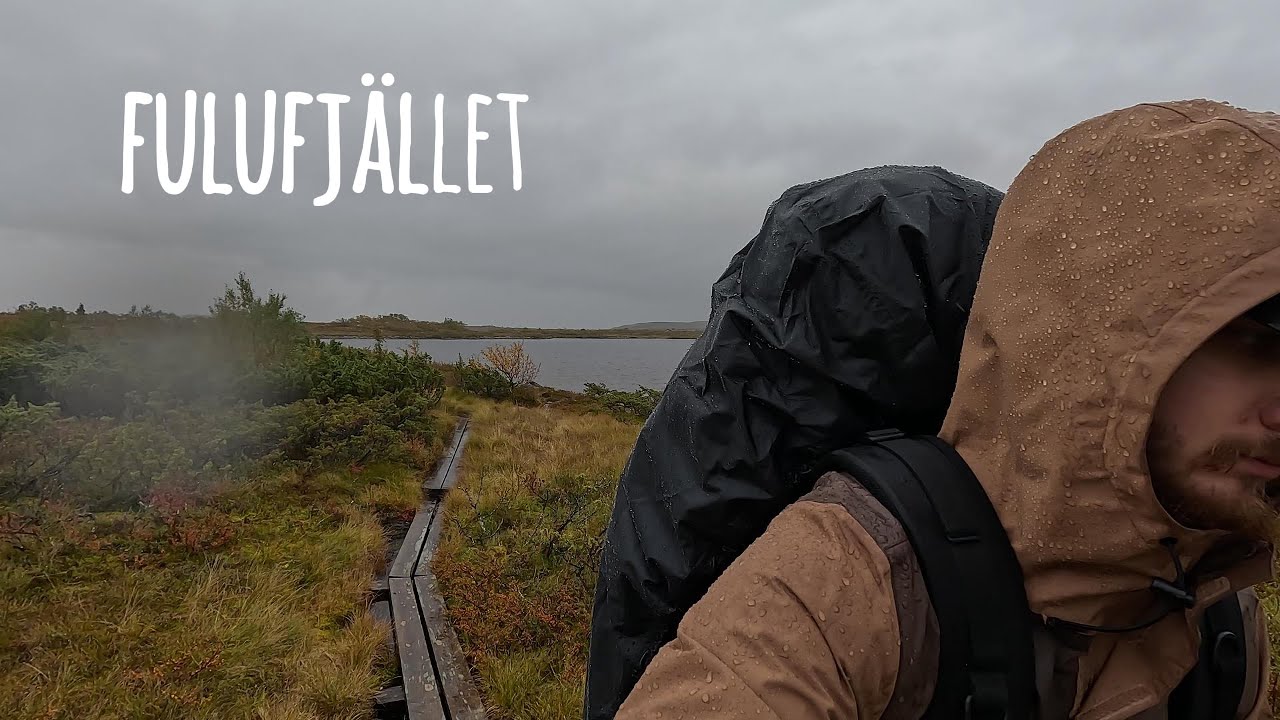 Hiking on Fulufjället