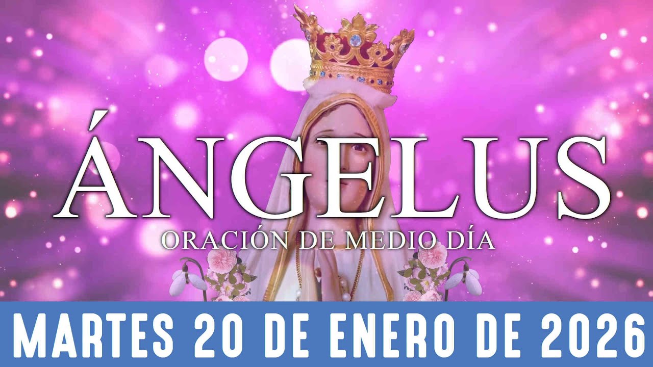 Ángelus de hoy martes 20 de enero de 2026 Oración de mediodía