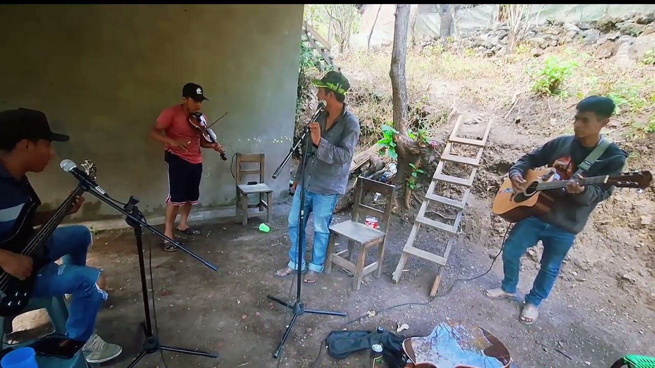 Chilena con Violín 