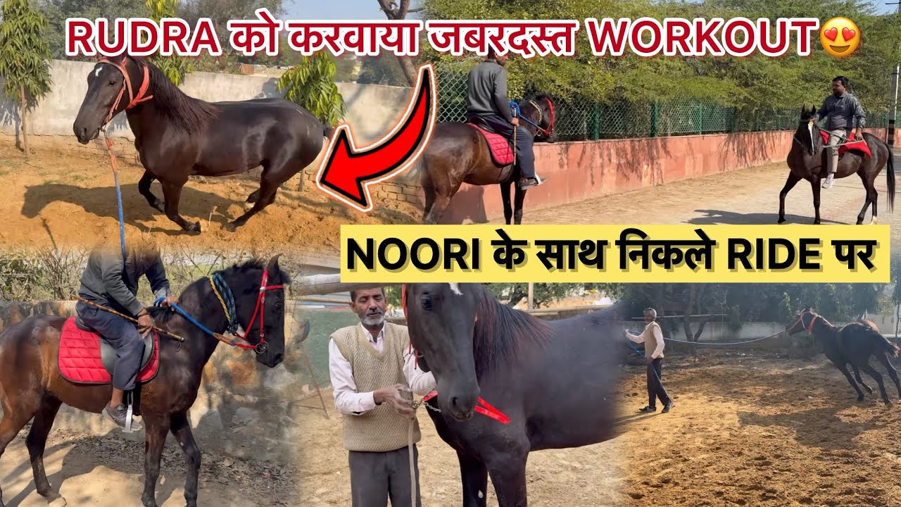 RUDRA को करवाया जबरदस्त WORKOUT🐎😍NOORI के साथ निकले RIDE पर🤩