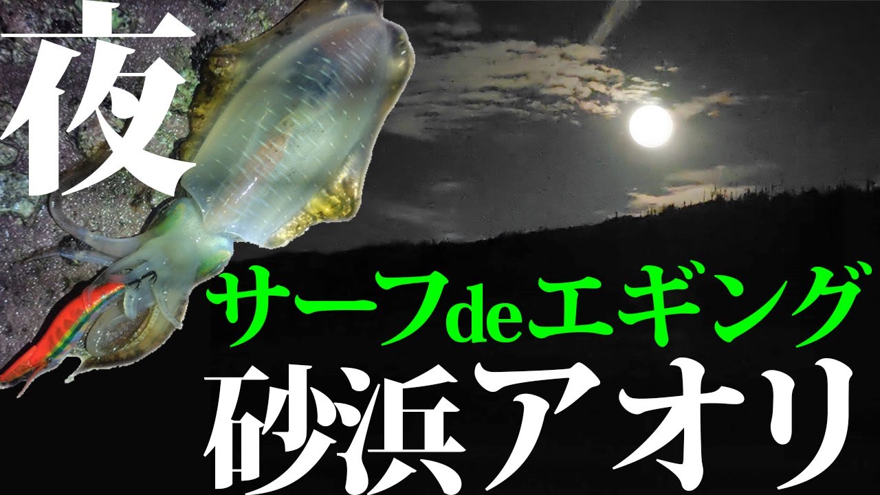 【エギング】サーフエギングで砂浜アオリ
