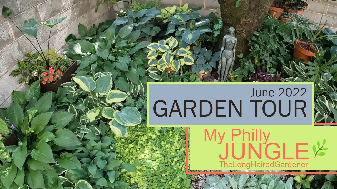 First Garden Tour of 2022 🌷Container Gardening 🌱My Philly Jungle