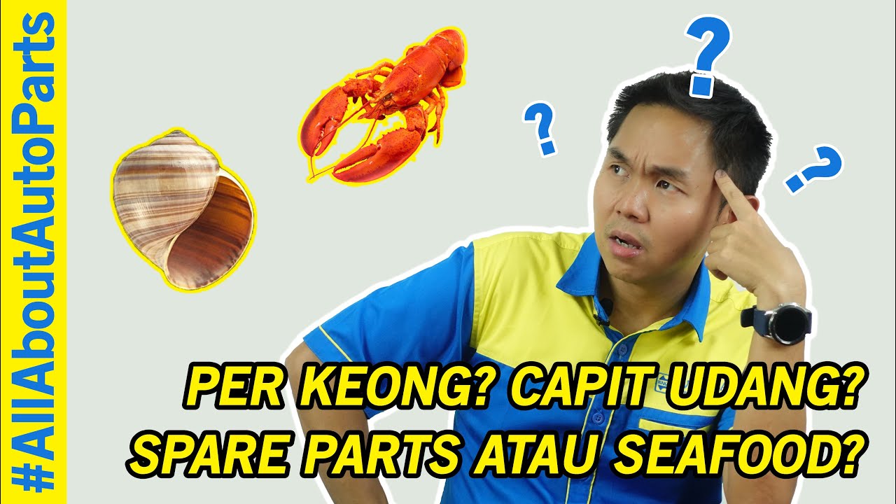 SISTEM PER KEONG (COIL SPRING)
