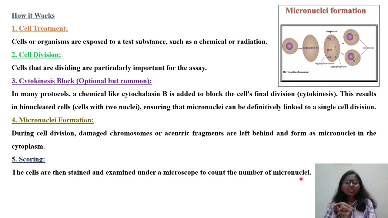 DABT Topic Micronucleus Assay