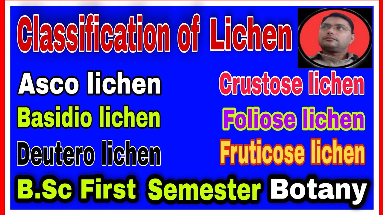 Classification of LichenII#educationalvideos.