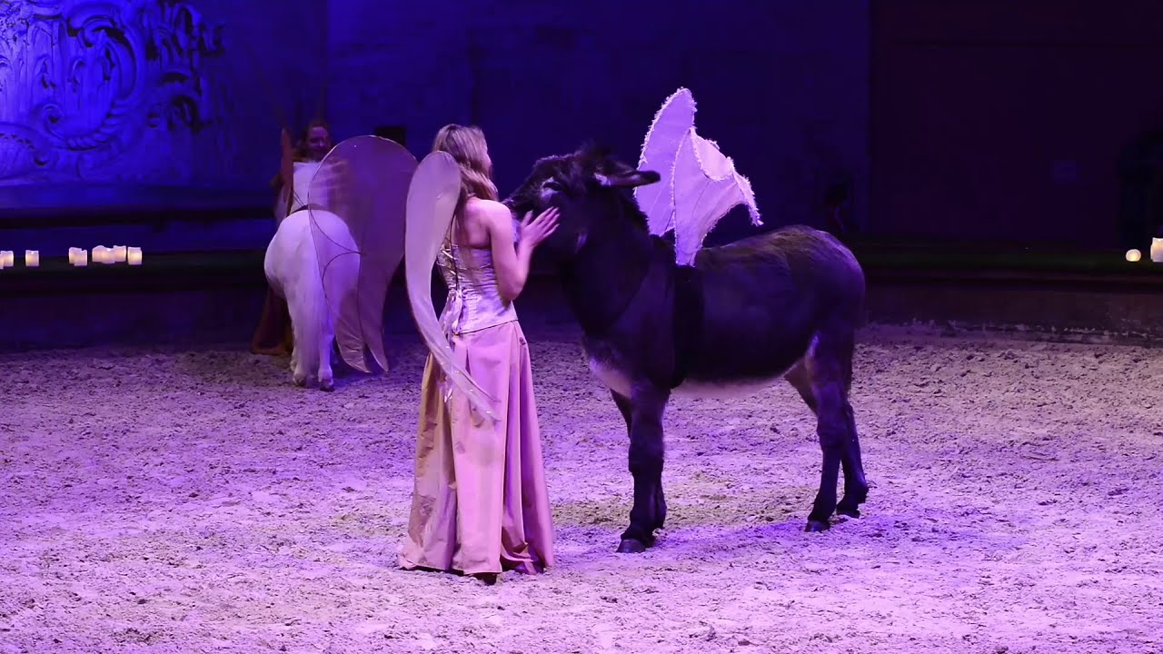 Noël aux Grandes Écuries de Chantilly