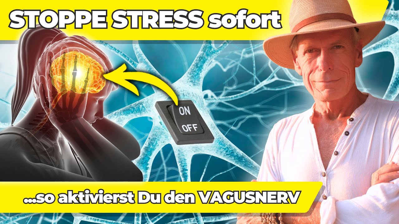 VAGUS Tonus st&auml;rken: Der Schl&uuml;ssel zur inneren Ruhe