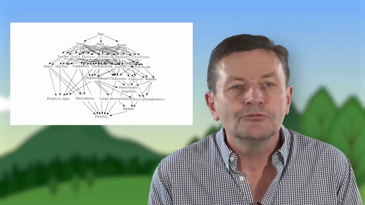 Qu'est-ce qu'un système en écologie ?