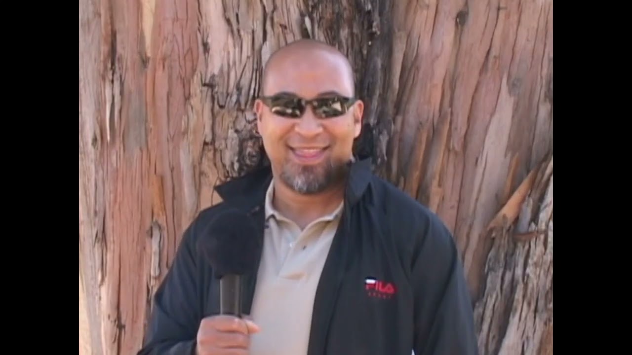 A quick look at Agnews history