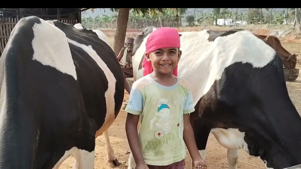 மாலை நேரத்தில் மாடுகளுடன் இனியன்#viral#trending#baby#irfan#youtube#shortsfeed  