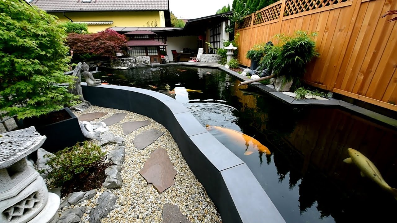 Modern Koi Blog #1838 - Traumteich im Eigenbau