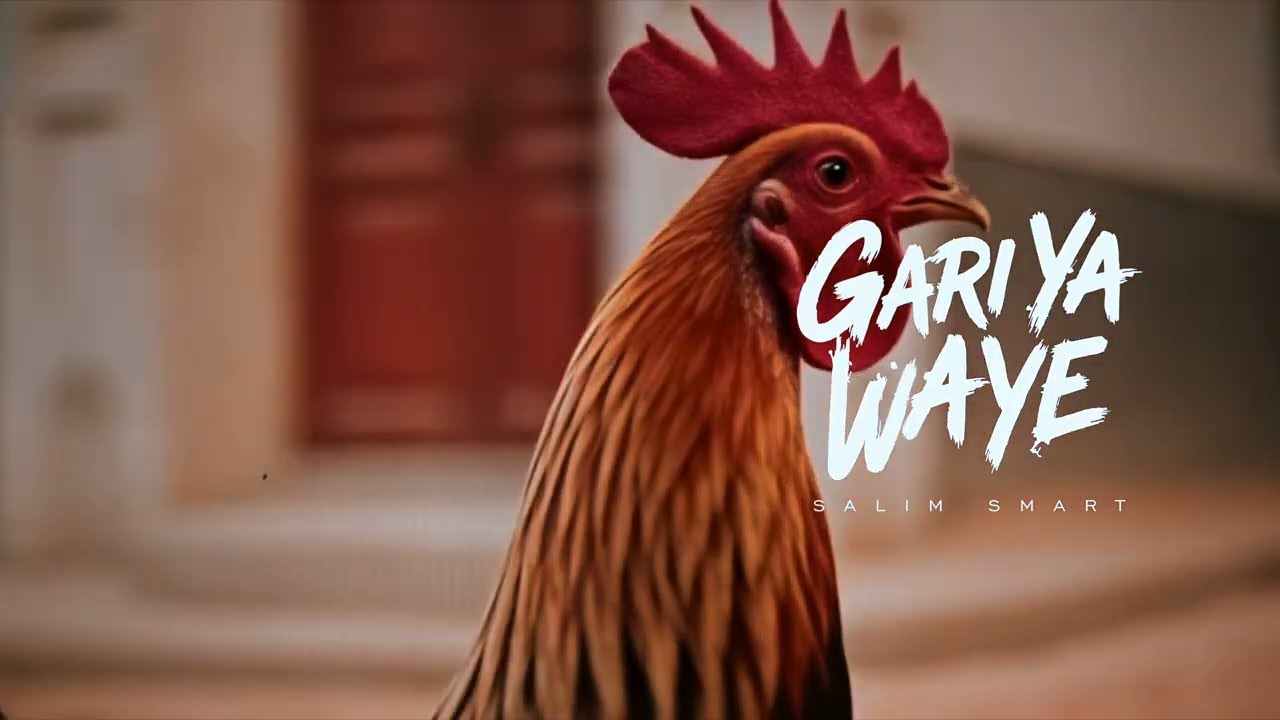 Salim Smart - GARI YA WAYE (Album Introduction Video)