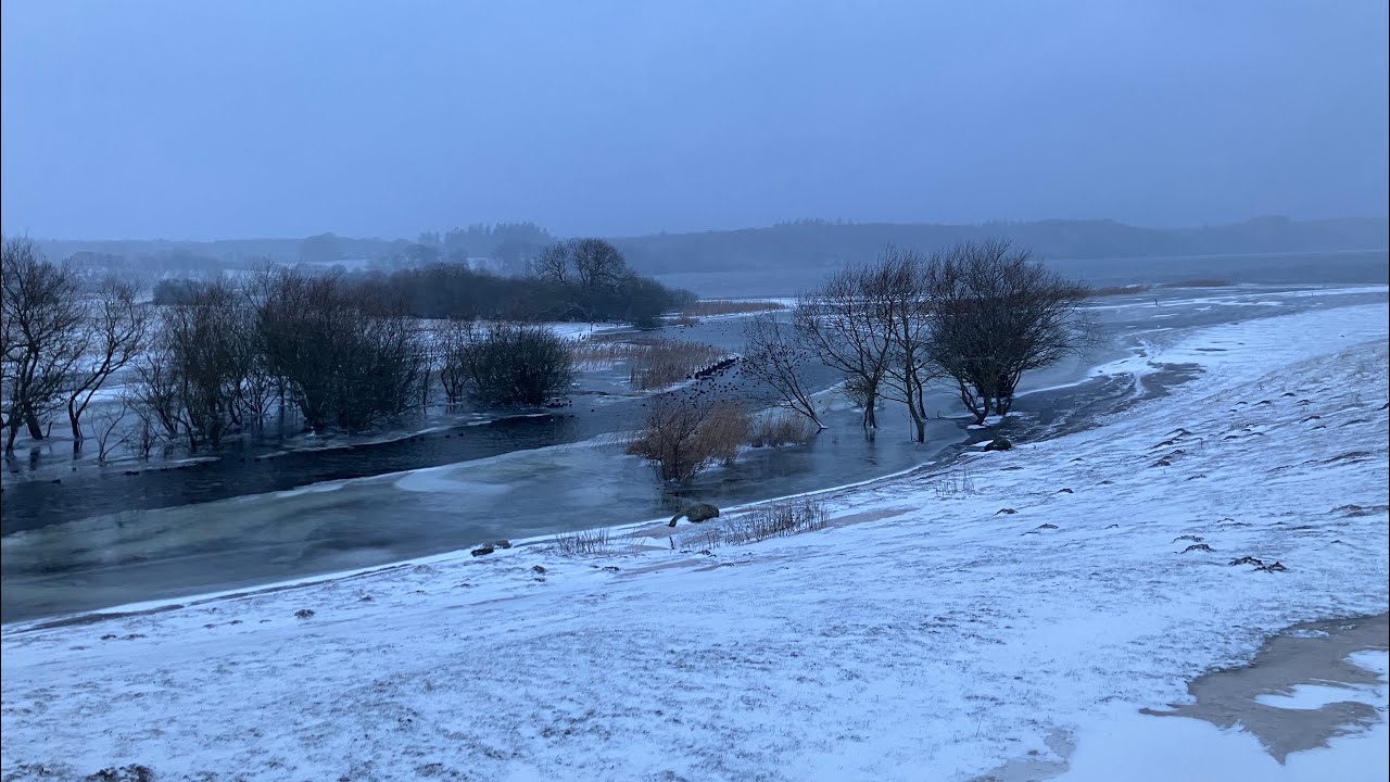 Vintereftermiddag ved Bavelse Sø og Næsbyholm