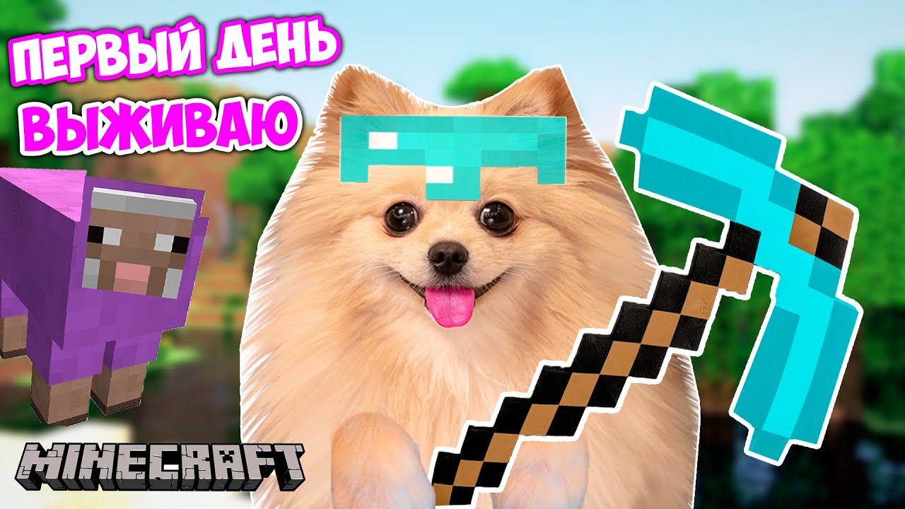 FIRST DAY IN MINECRAFT! SURVIVING IN MINECRAFT - BUILDING MY FIRST HOUSE | MINECRAFT