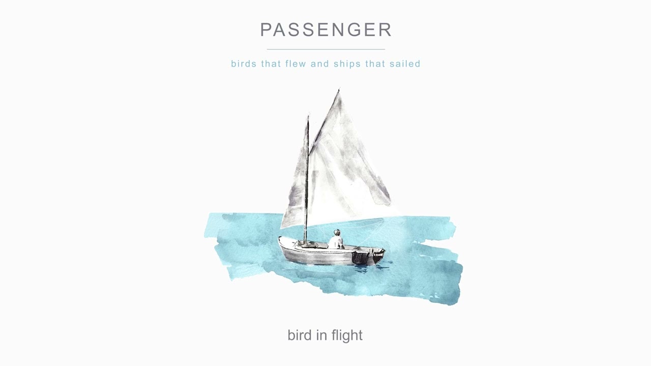Passenger | bird in flight (Official Audio)