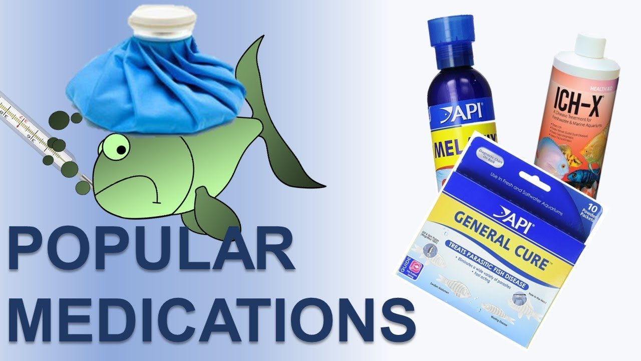 Fish Disease Treatment | Popular Medications For Fish Diseases | Medications For Sick Fish