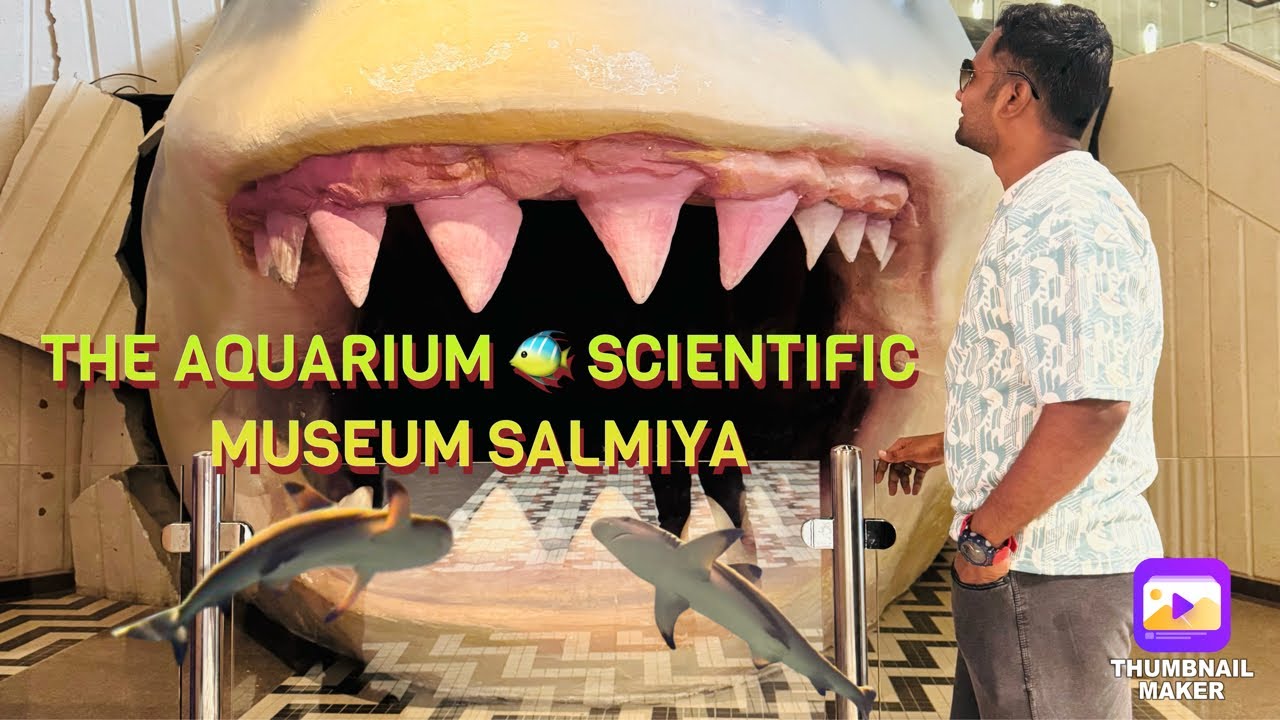 The Aquarium 🐟🐠Scientific museum #salmiya Marin & Sea fish 🐠 majaliya #kuwaitview #kuwaittourism