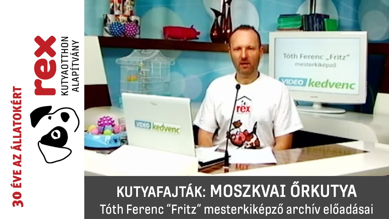 Kutyafajták: moszkvai őrkutya