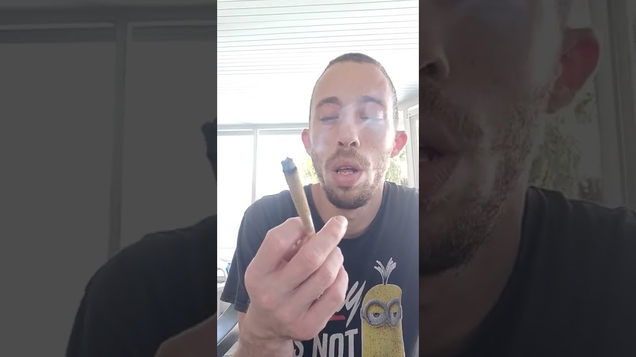 uplift lemon skunk Delta 8 moon rocks