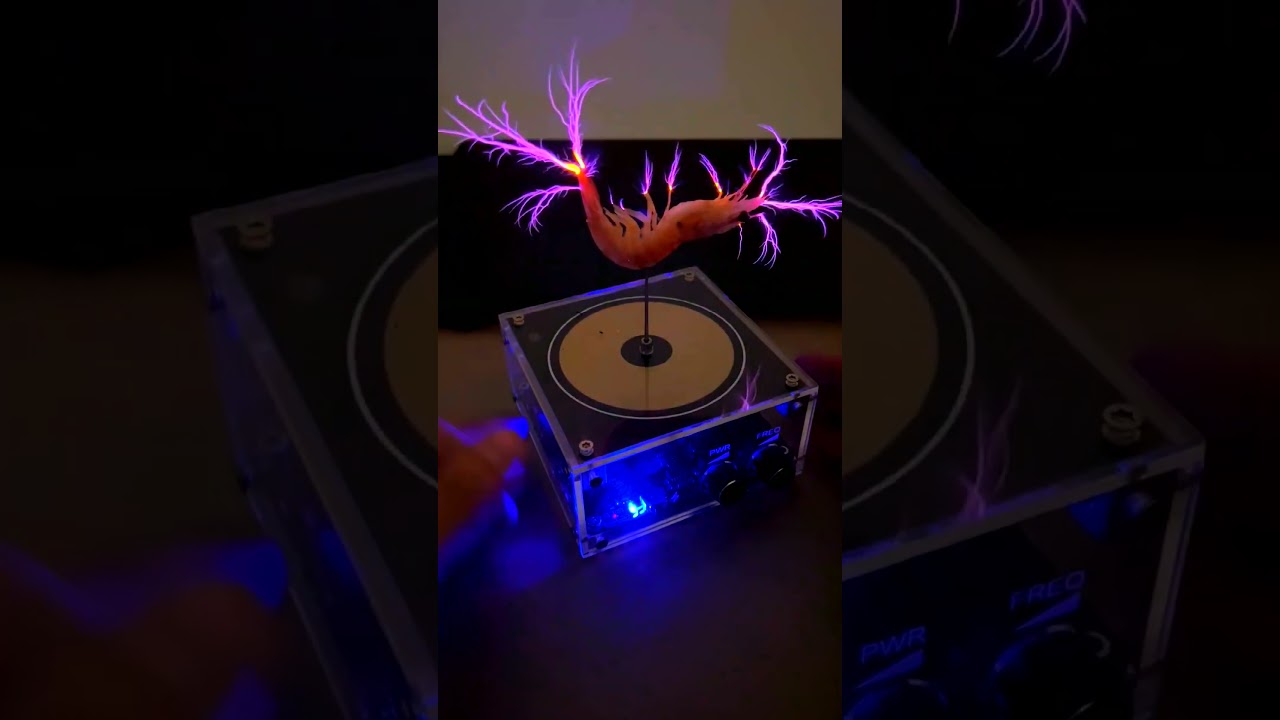 Shrimp with Tesla Coil