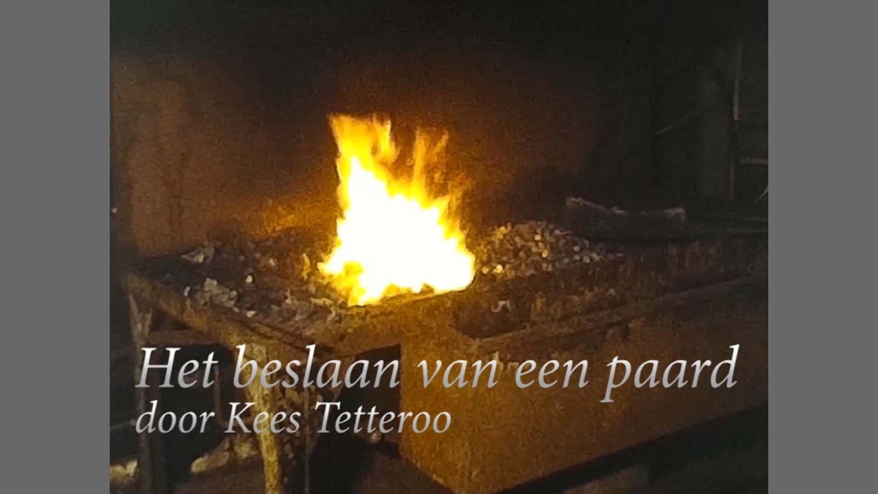 Paard beslaan, film van Kees Tetteroo