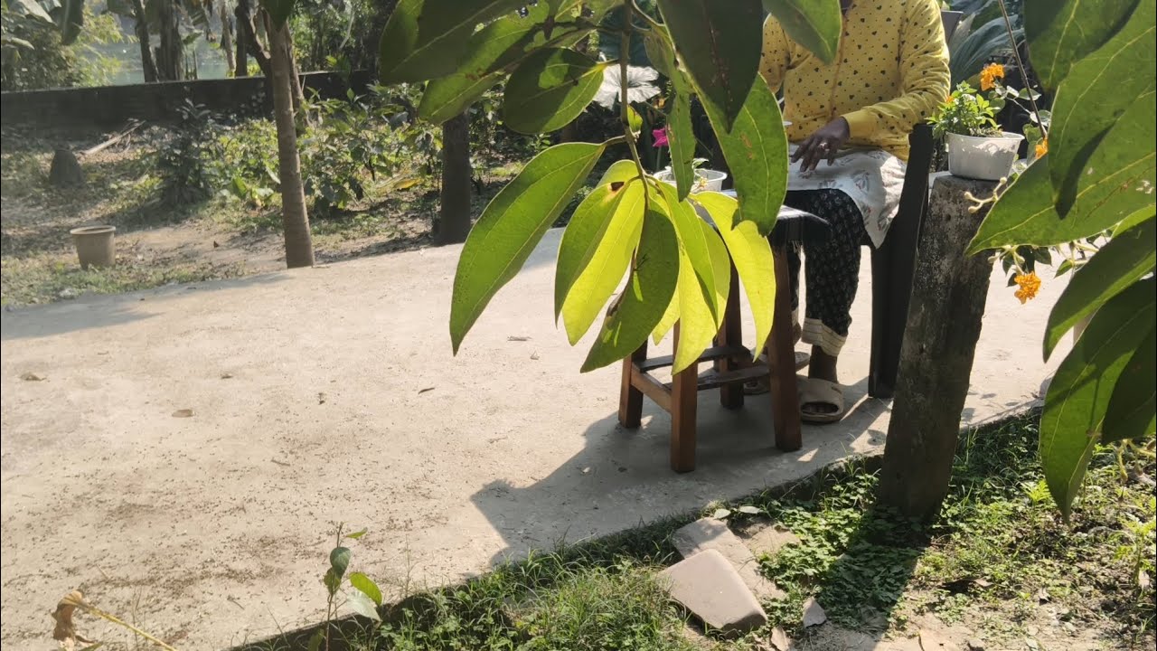 Peaceful village life🏡🌿, cooking fresh fish 🐟 and family moments 🥰