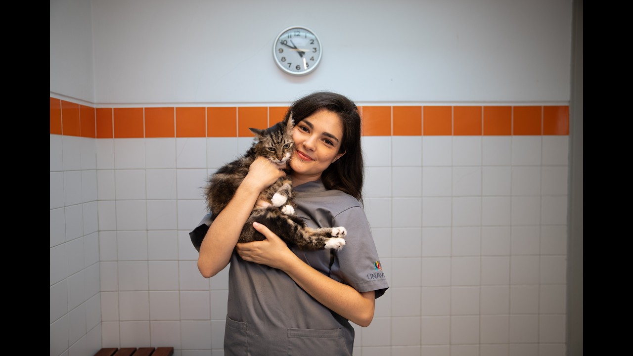 OneVet Group l Pelos dos Gatos