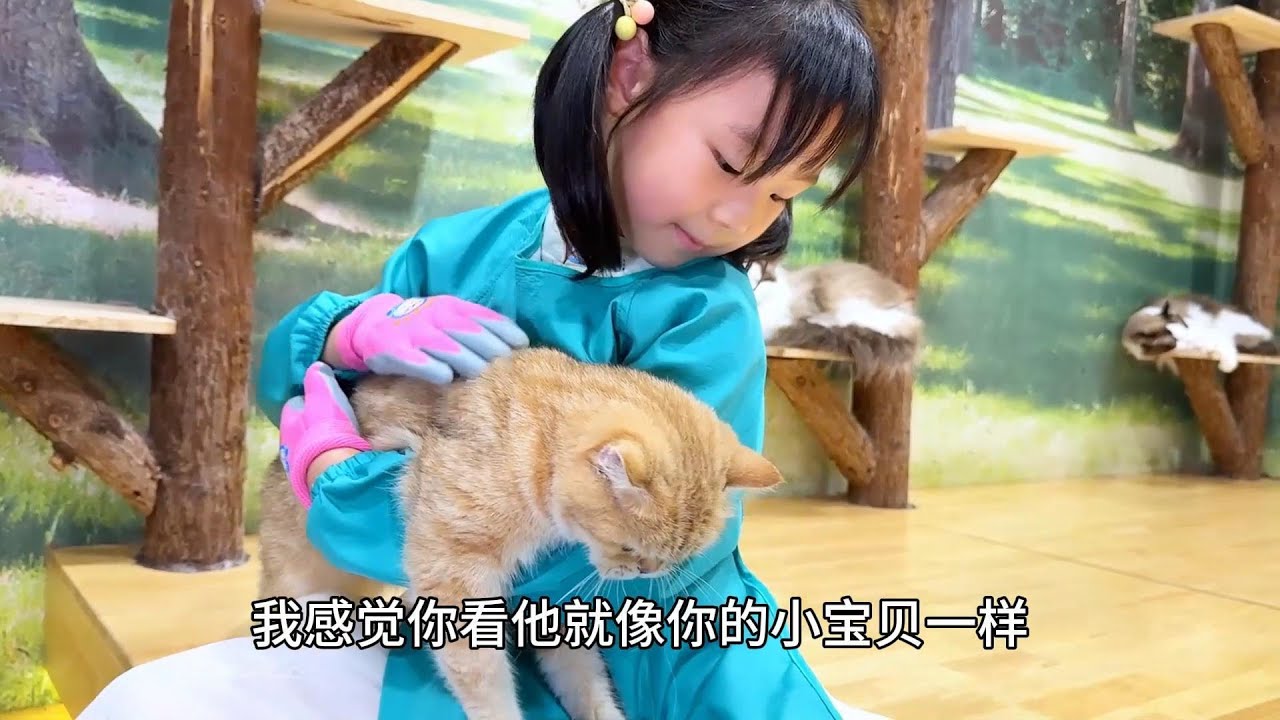 补偿欣欣月月去上商场里撸猫