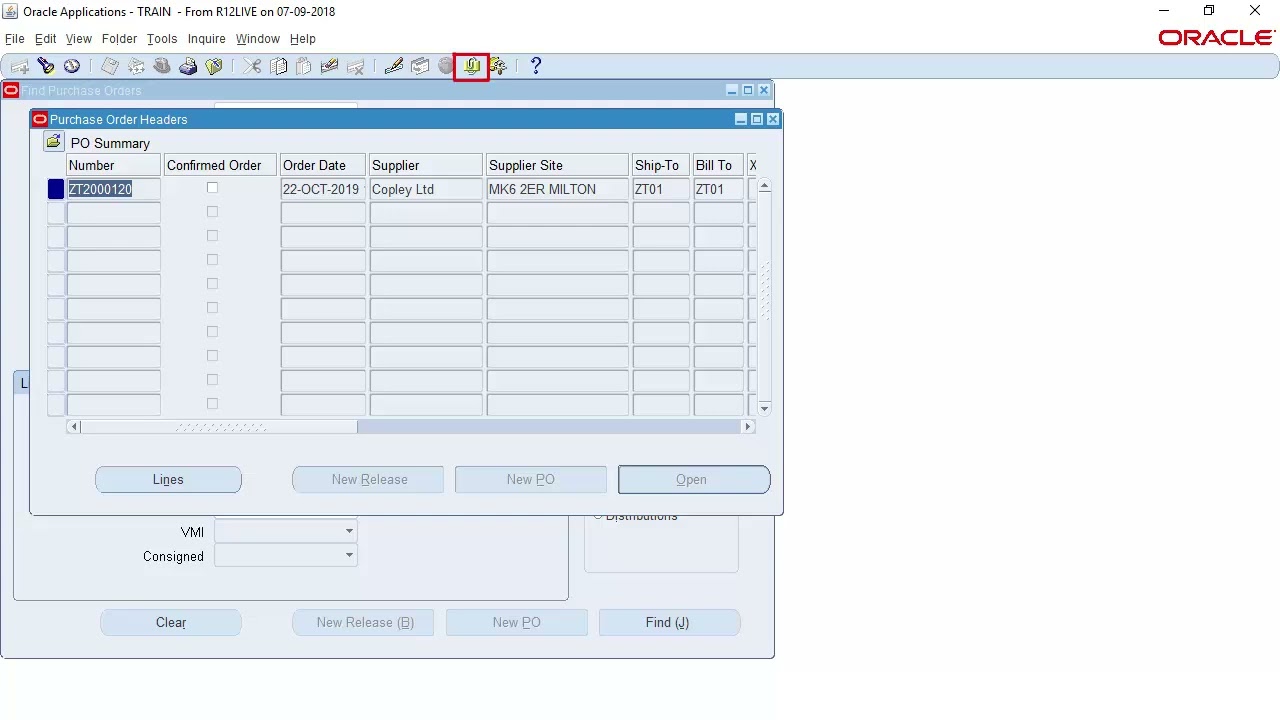 IPE - Run the PO Summary Enquiry V2