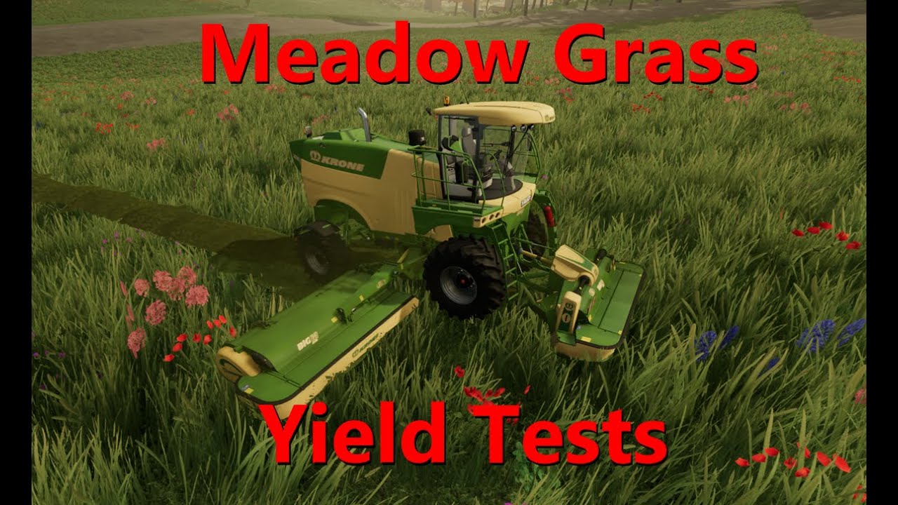Everything Grass - Meadows