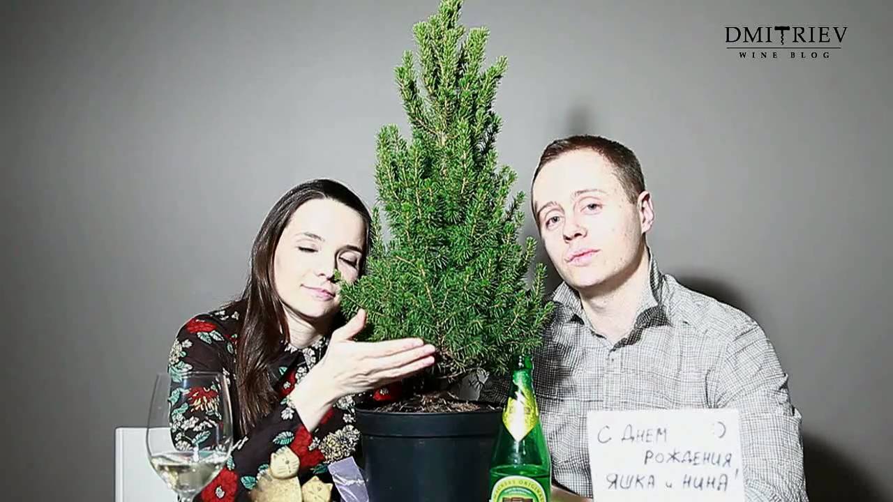 100% Pear Cider. Magners, Ireland. Эпизод 94