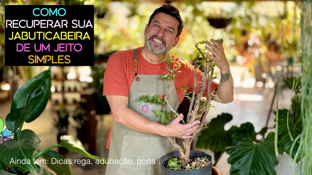 Como Recuperar Sua JABUTICABEIRA de um JEITO SIMPLES
