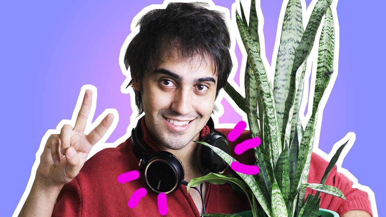 TAG 20 MÚSICAS