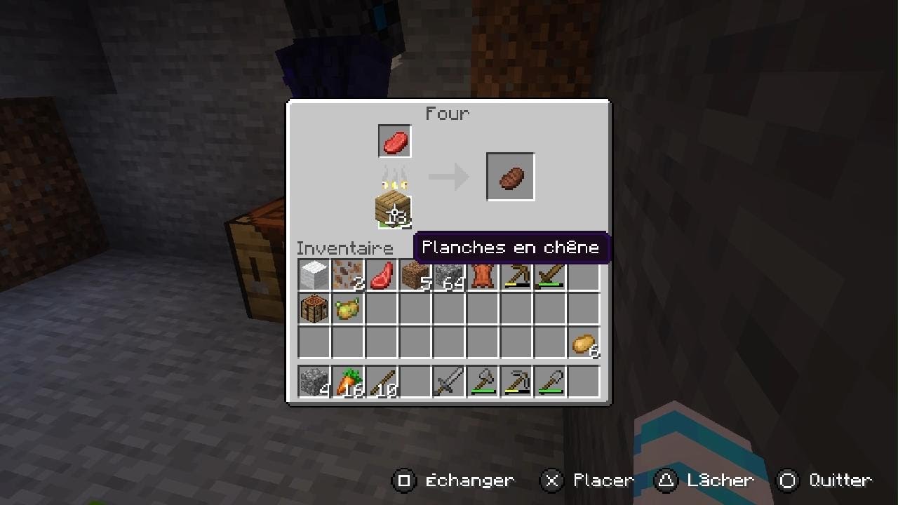 Minecraft survie episode1 avec mon pote