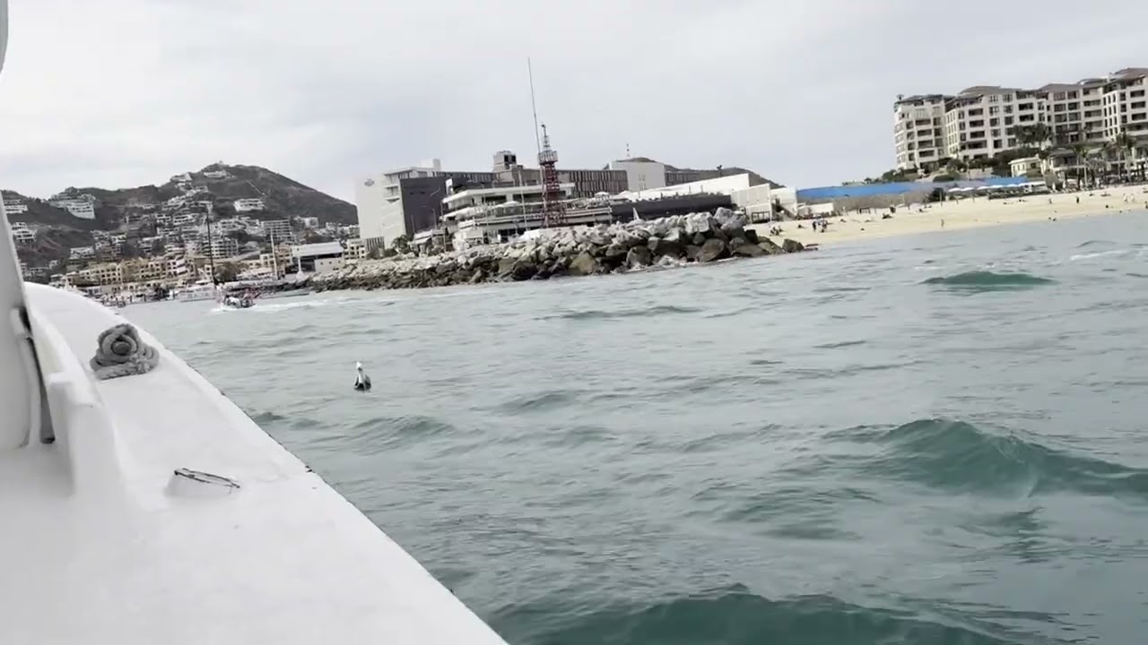 Tender boat to Cabo