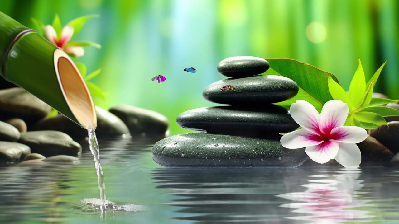 Relaksująca muzyka fortepianowa dla stresu - bambus, zen, spa, muzyka medytacyjna, dźwięki natury
