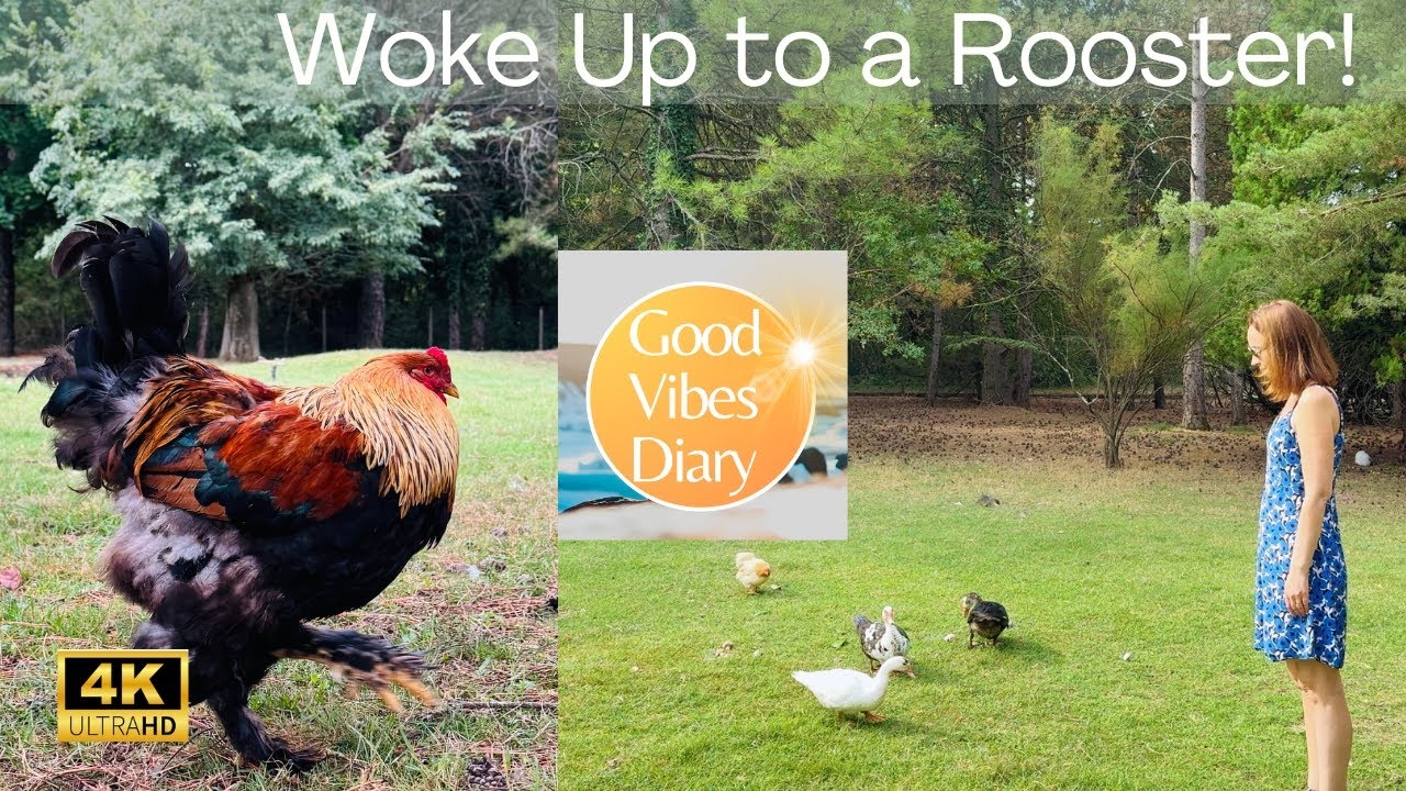 I Tried Living on a Farm in France (Here’s What Happened)
