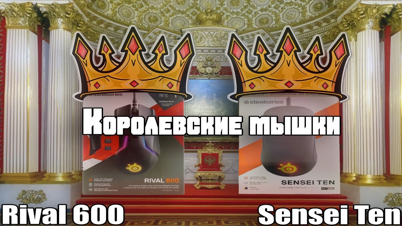 Мажорные грызуны | Сравнение мышей SteelSeries Rival 600 и SteelSeries Sensei Ten
