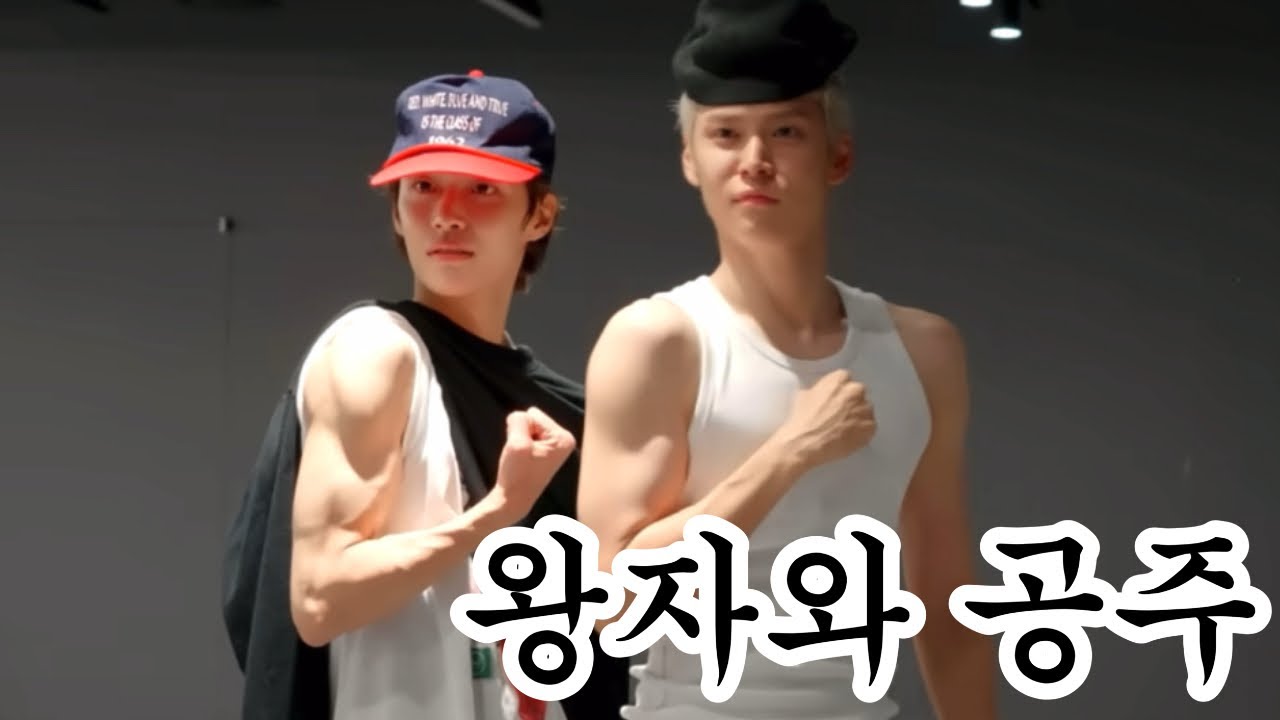석과비니