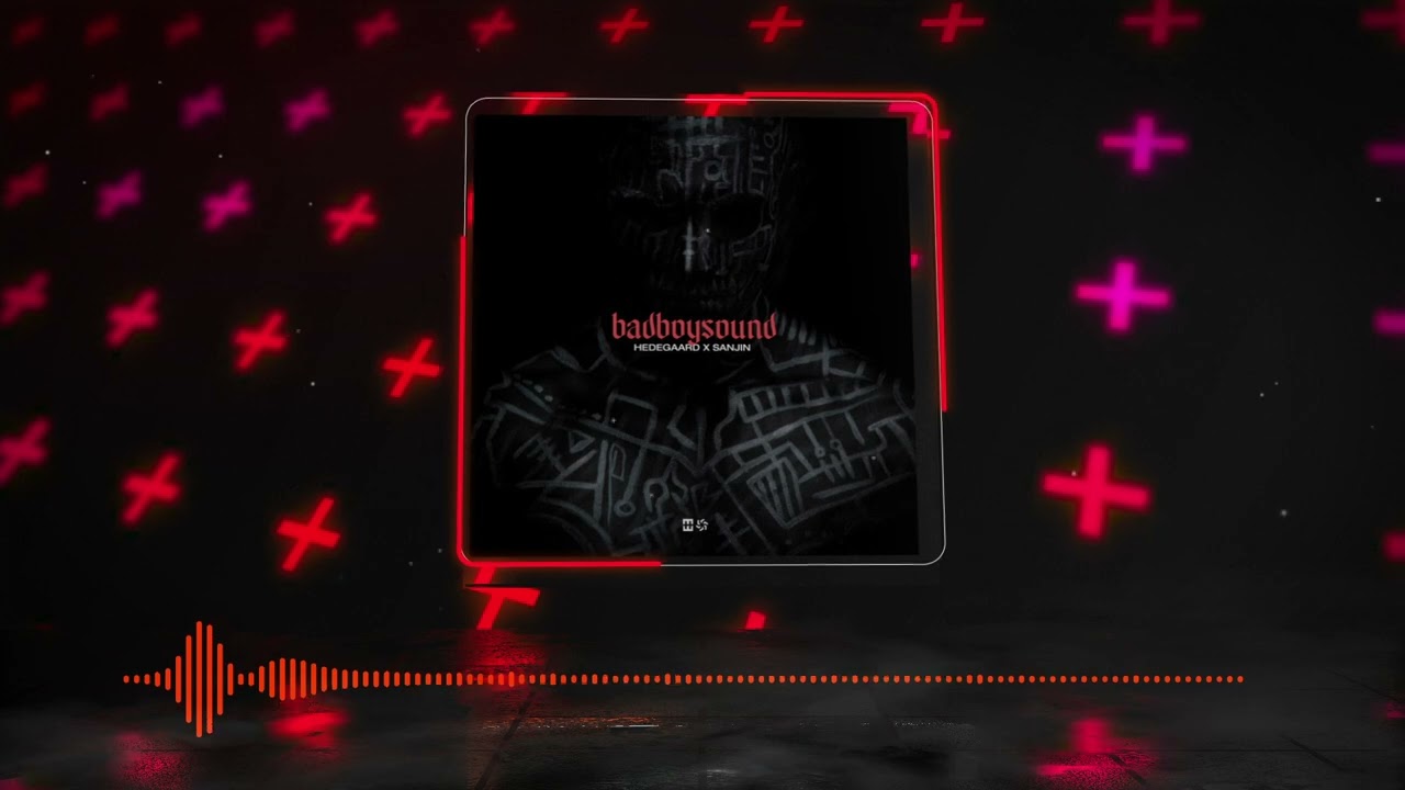 HEDEGAARD X Sanjin - badboysound
