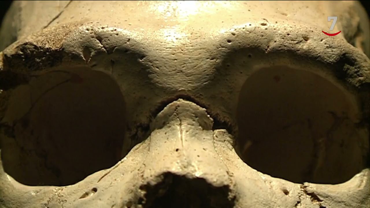 25 años Atapuerca Patrimonio Mundial