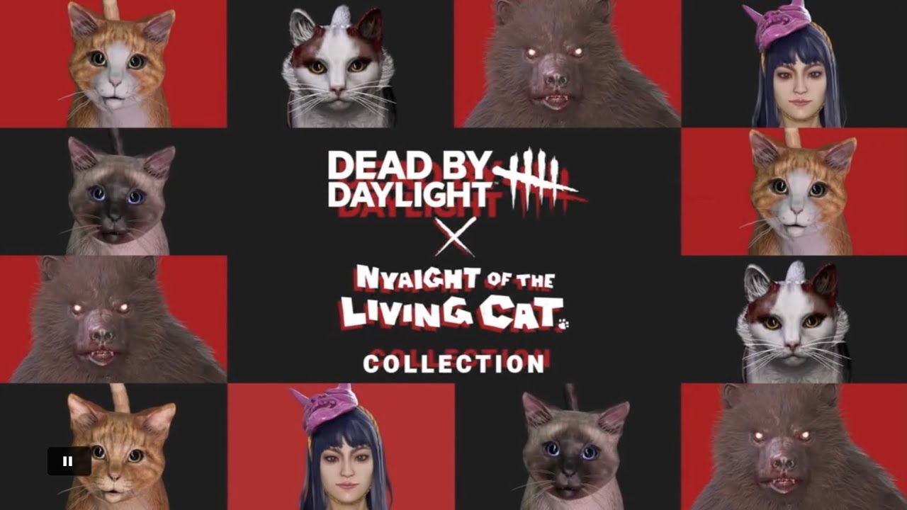 Dead by Daylight #313
