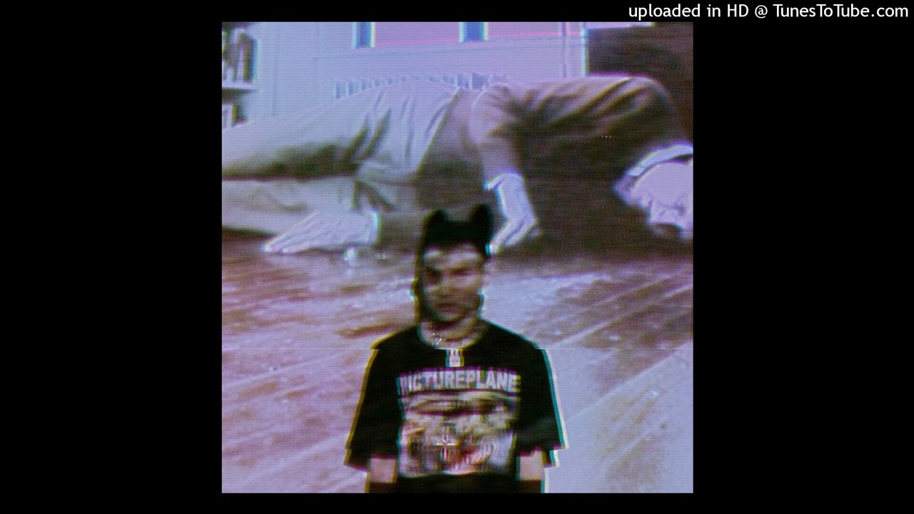 Mr.Kitty - Insects (Instrumental)