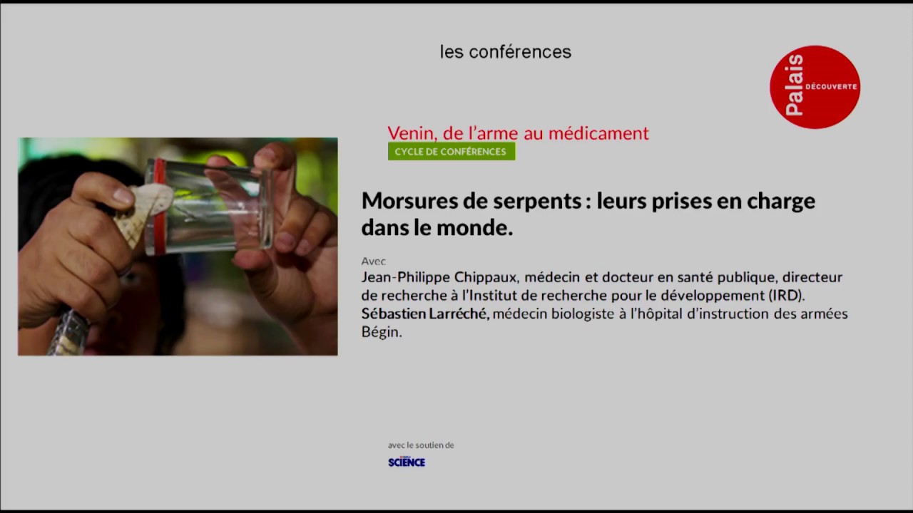 Morsures de serpents : leurs prises en charge dans le monde