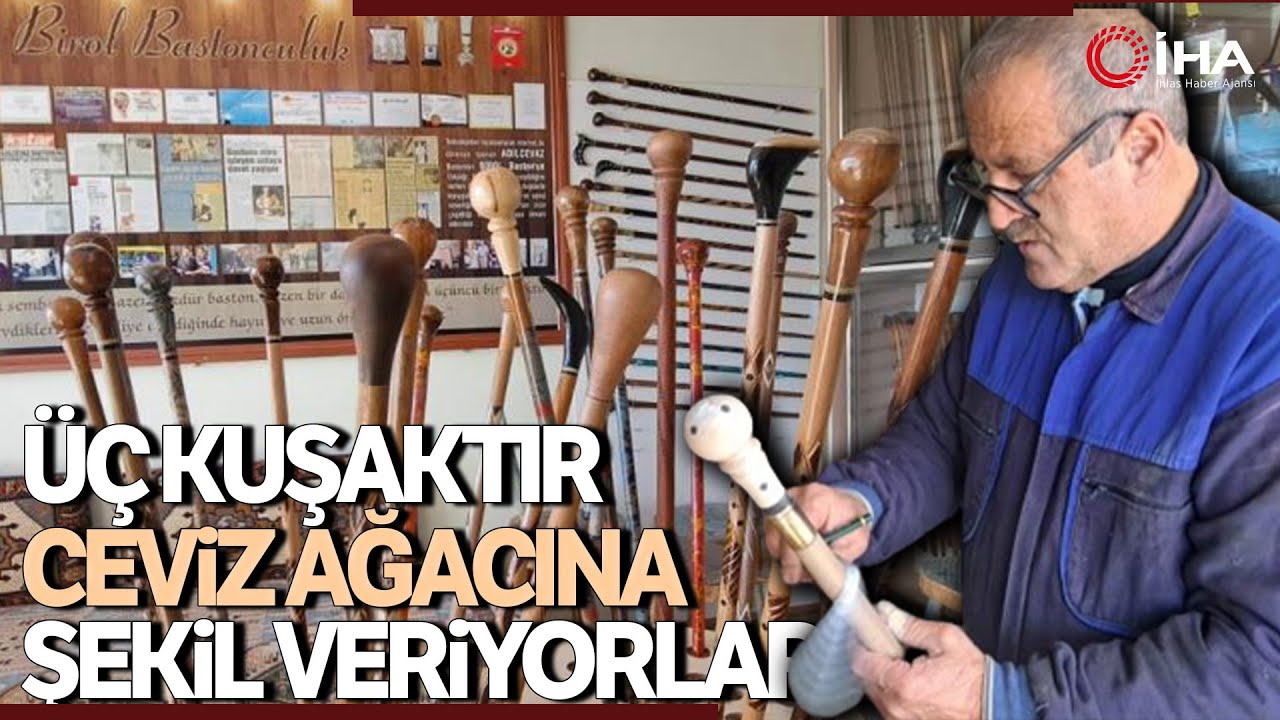 Ceviz Ağacına Şekil Veren Üçüncü Kuşak Baston Ustası