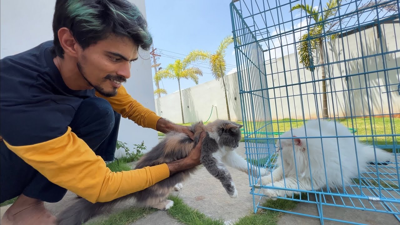 NIKKI meets ROCKY..😍😍 NIKKI இப்படி செஞ்சுட்டா..😳