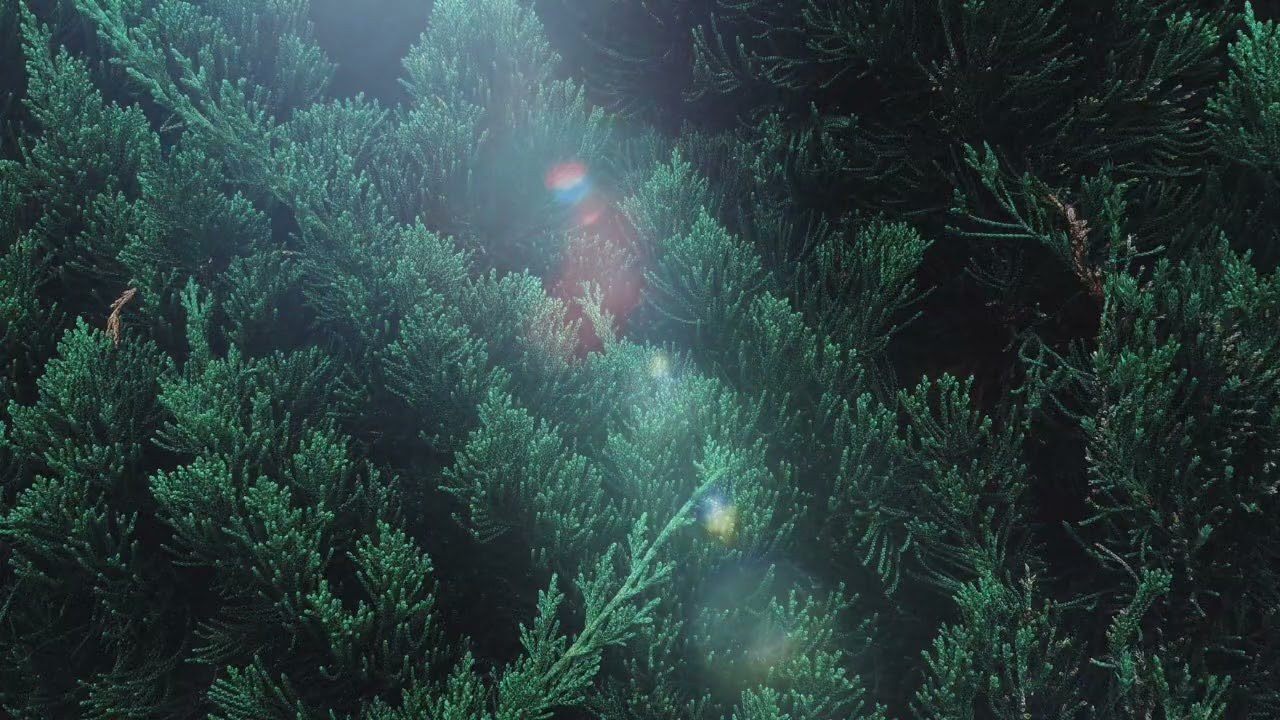 Warm & Soft Ambient Soundscape for Focus, Meditation & Calm | Deep Relaxation | 78 Minutes